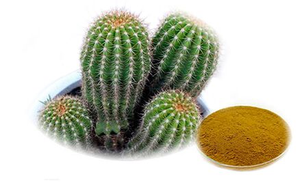 Hoodia gordoni como parte de Reduslim