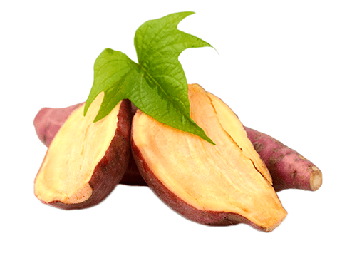 Raíz de Yacon en Reduslim