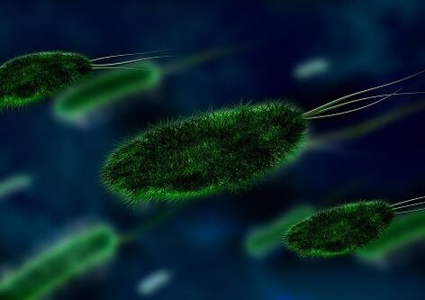 a causa da gastrite é unha bacteria - Helicobacter